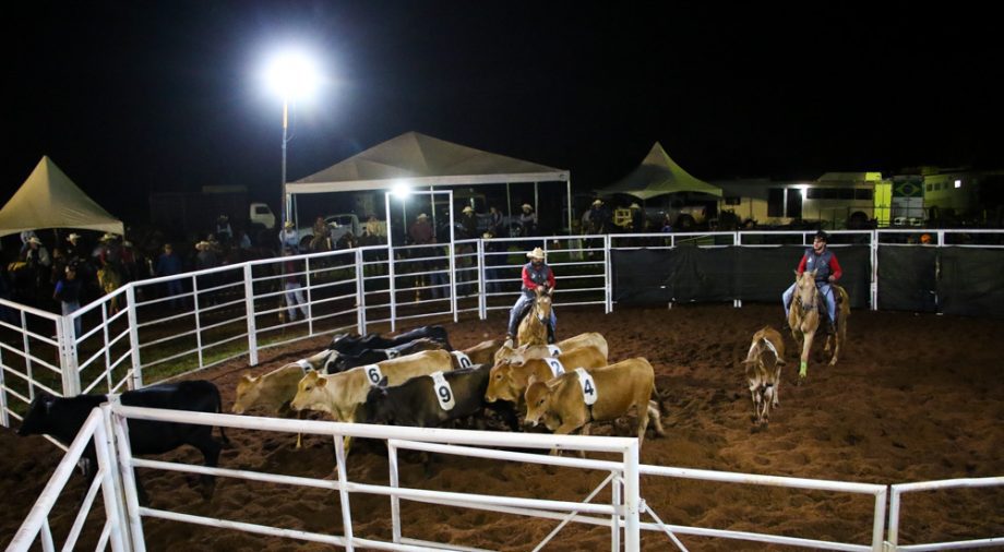 Competição de Ranch Sorting reuniu vários cowboys e cowgirls na Estância Boa Vista