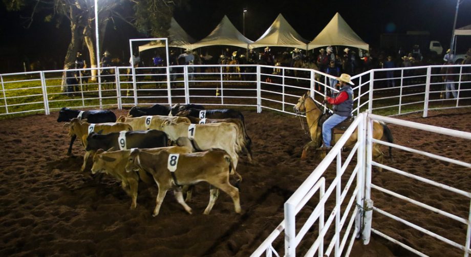 Competição de Ranch Sorting reuniu vários cowboys e cowgirls na Estância Boa Vista