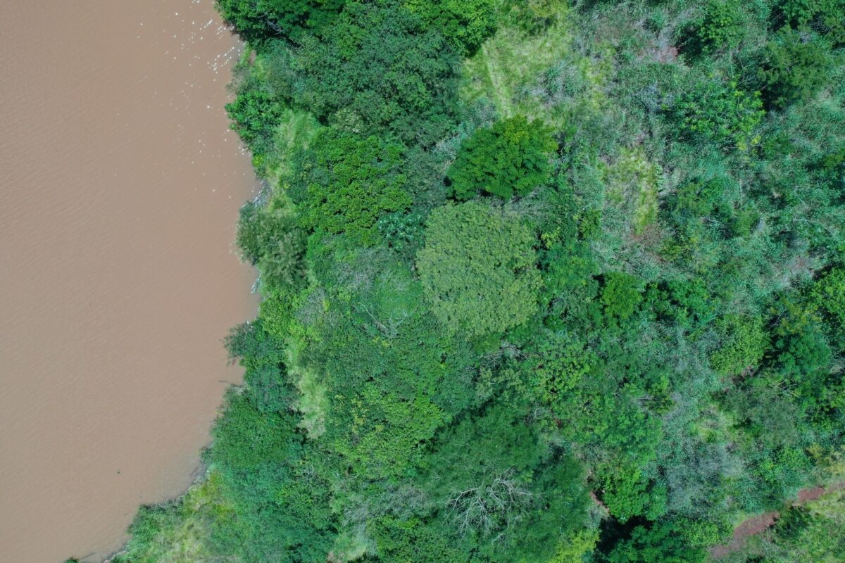 CTG Brasil irá manejar 680 hectares em áreas de preservação permanente nos rios Paraná e Paranapanema