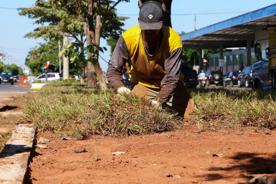 REVITALIZAÇÃO – Canteiros centrais das Avenida Rosário Congro começam a receber jardinagem