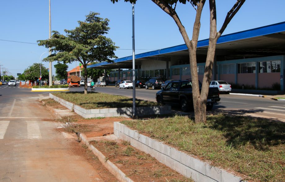 REVITALIZAÇÃO – Canteiros centrais das Avenida Rosário Congro começam a receber jardinagem