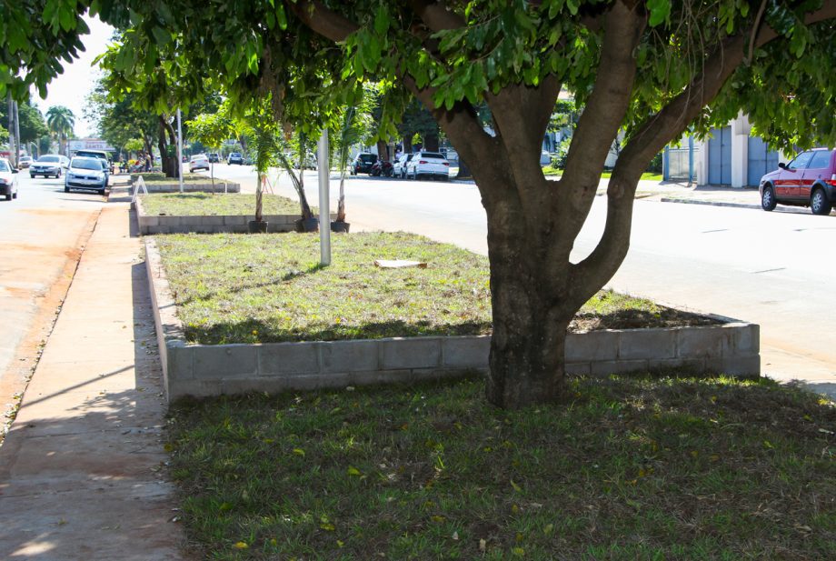 REVITALIZAÇÃO – Canteiros centrais das Avenida Rosário Congro começam a receber jardinagem