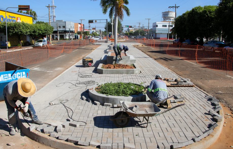 REVITALIZAÇÃO – Canteiros centrais das Avenida Rosário Congro começam a receber jardinagem