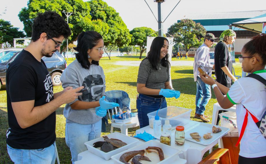 “Dia D” do Meio Ambiente reúne parceiros e centenas de pessoas na Lagoa Maior