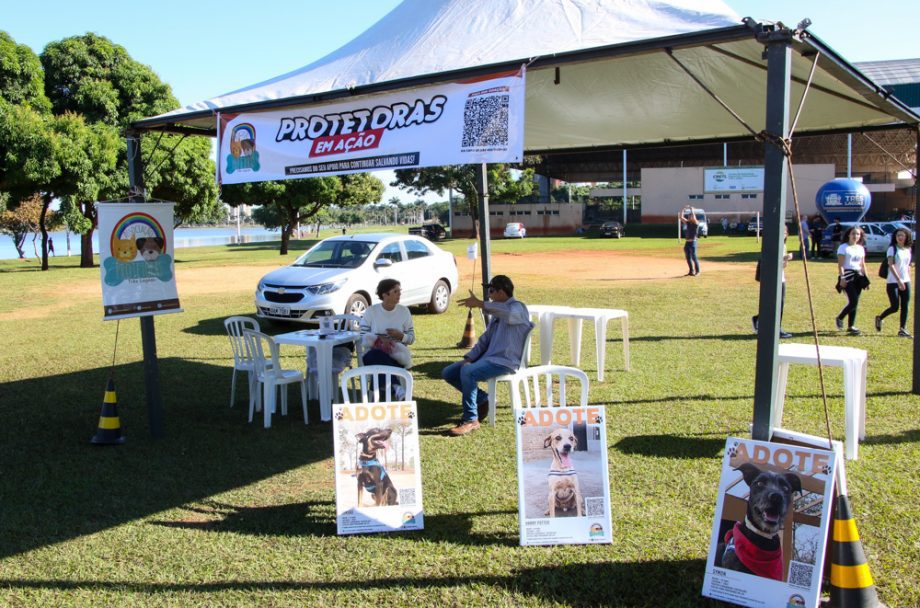 “Dia D” do Meio Ambiente reúne parceiros e centenas de pessoas na Lagoa Maior