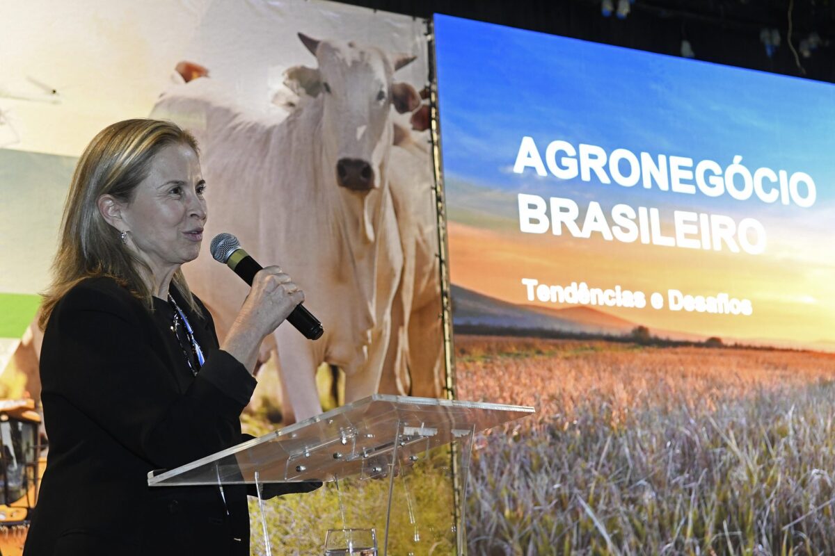 Agro moderno, produtivo e pronto para desafios é destacado pelo governador no Interagro