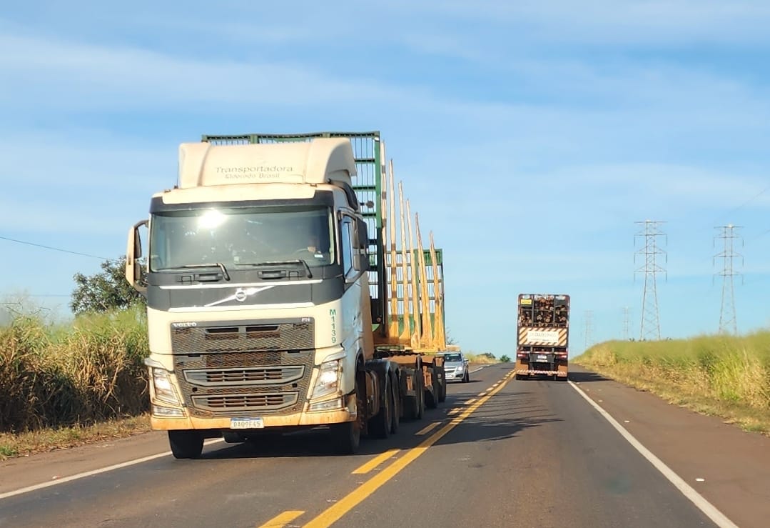 Sem obras estruturais urgentes, ‘rodovia da morte’, a BR-262 é foco de acidentes fatais em MS