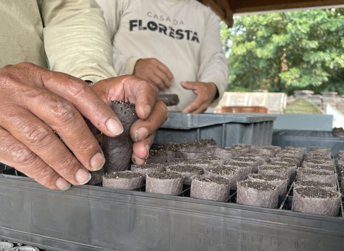 CESP adota uso de tubetes biodegradáveis no Horto Florestal de Porto Primavera