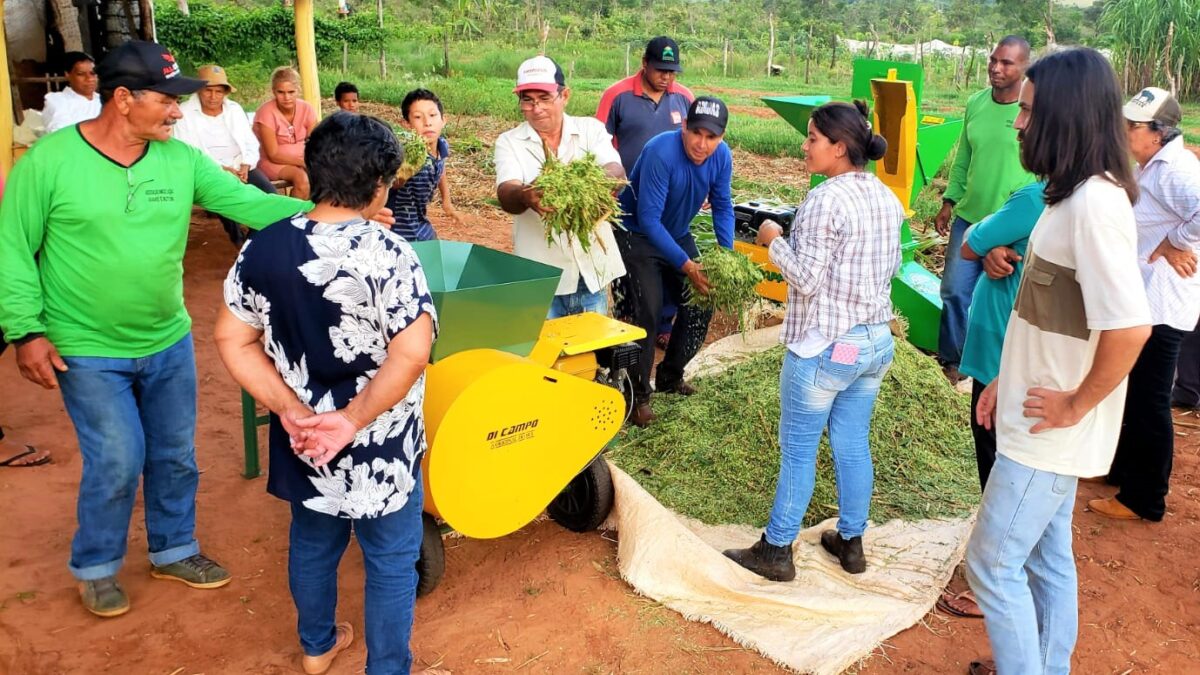 Suzano fomenta pecuária leiteira com criação de banco de reserva alimentar em Ribas do Rio Pardo