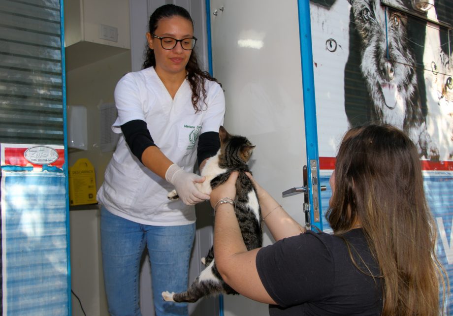 55ª etapa do Castramóvel está no Centro da Cidade, ao lado do Galpão da NOB