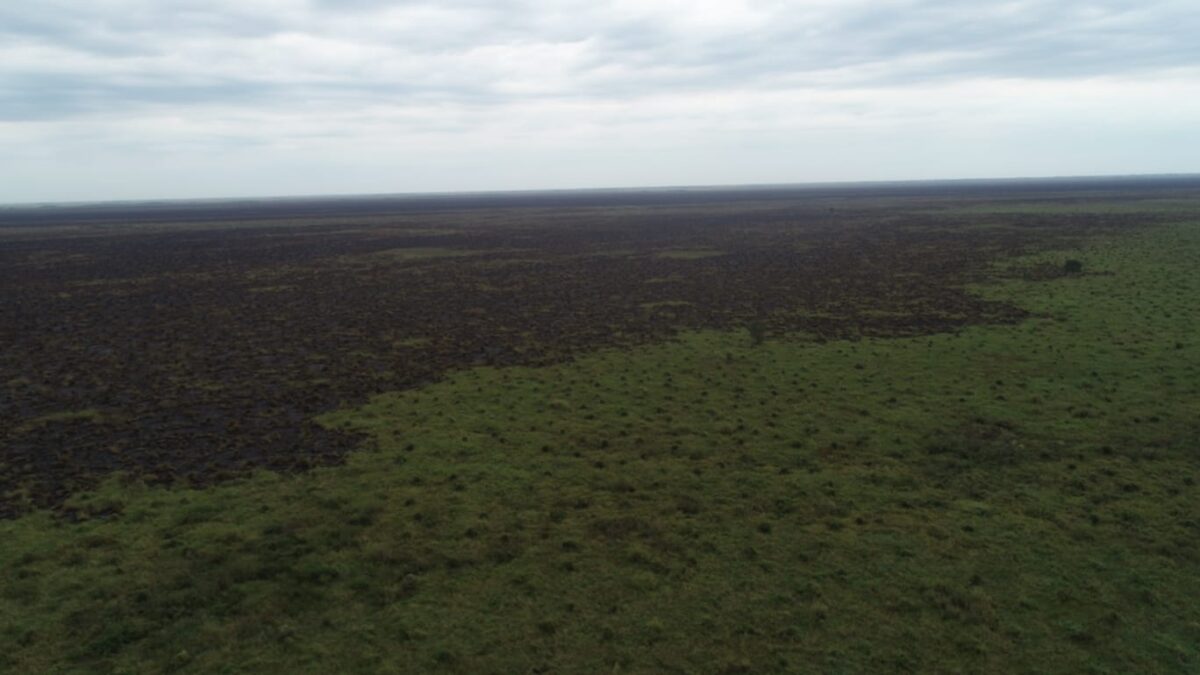 Com tecnologia e técnica, bombeiros de MS extinguem fogo na região do Pantanal