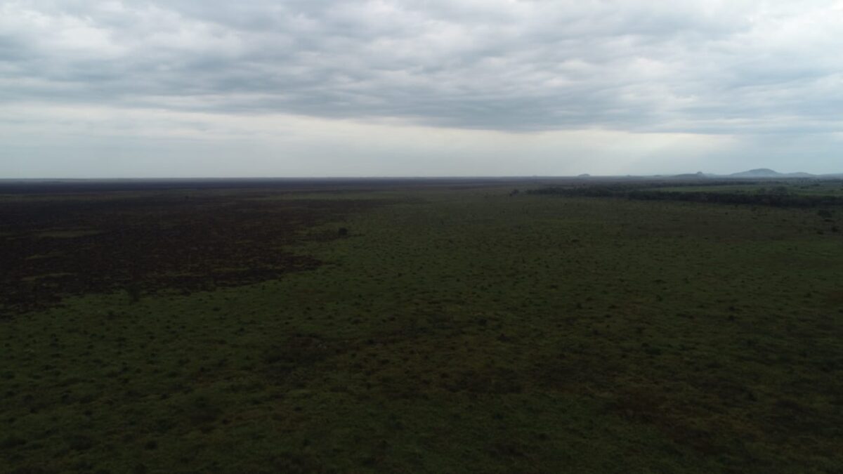 Com tecnologia e técnica, bombeiros de MS extinguem fogo na região do Pantanal