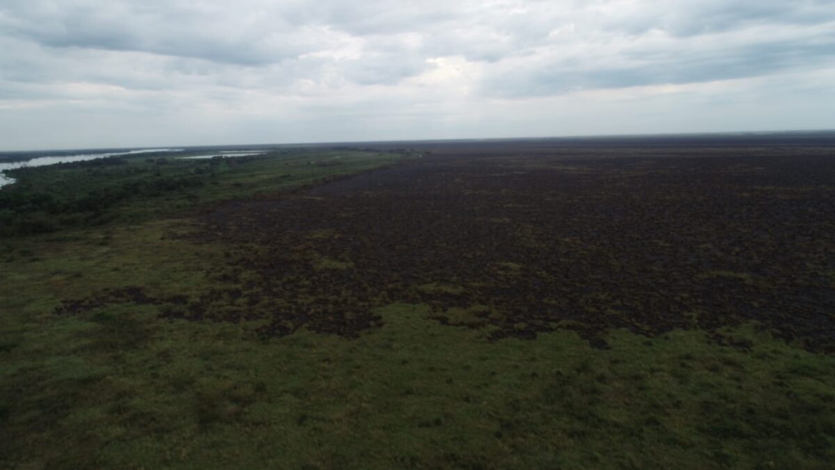 Com tecnologia e técnica, bombeiros de MS extinguem fogo na região do Pantanal