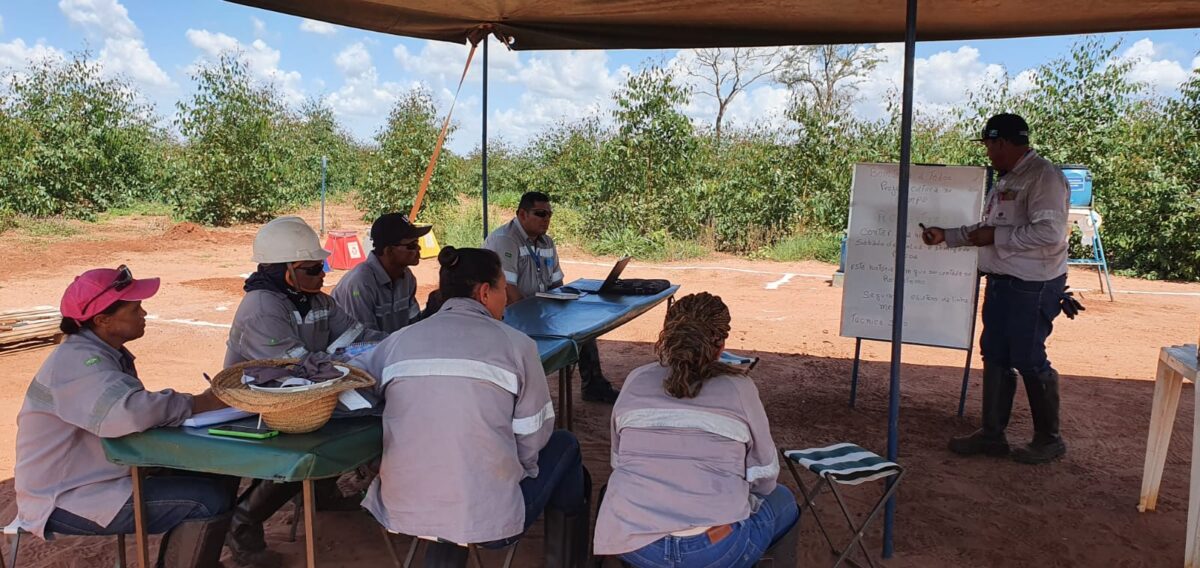Com apoio da Suzano, iniciativa voluntária leva sala de aula até o campo em Três Lagoas