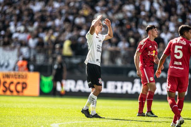 Brasileirão: Palmeiras empata em jogo polêmico; Botafogo vence mais uma; Corinthians se afunda em crise