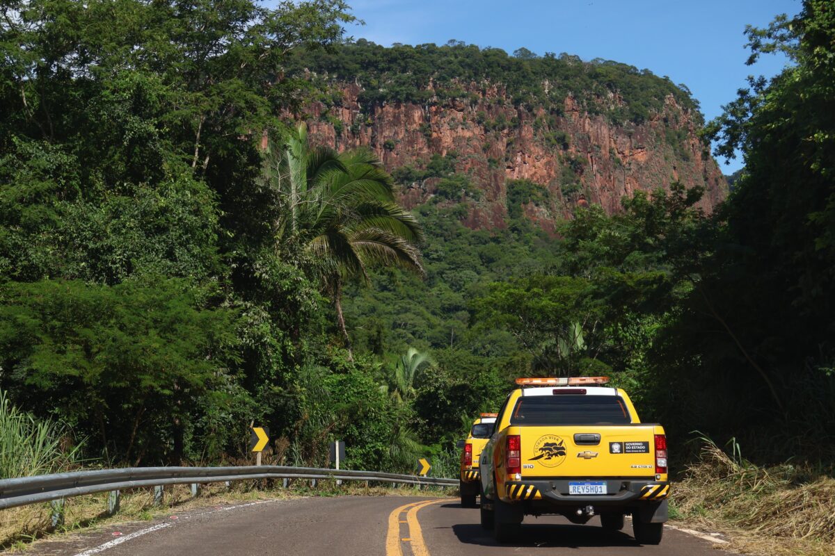 “Estrada Viva” amplia ações em rodovias para reduzir acidentes com animais silvestres