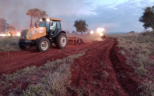 Fogo fora de controle atinge cinco fazendas em Cassilândia