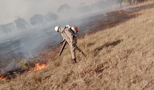 Fogo fora de controle atinge cinco fazendas em Cassilândia