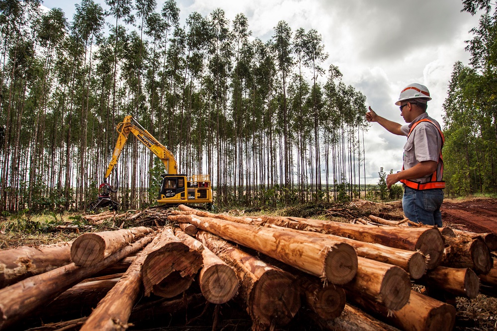 Suzano abre 80 novas vagas em curso de Mecânica de Máquinas Florestais para atender demanda em Ribas do Rio Pardo