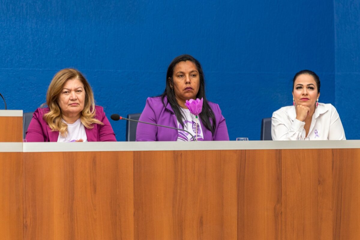 Solenidade oficializa a abertura do Agosto Lilás na Câmara