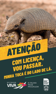 “Estrada Viva” amplia ações em rodovias para reduzir acidentes com animais silvestres