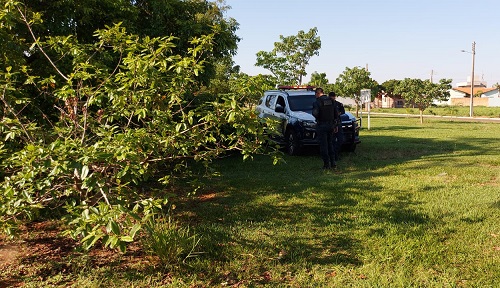 Enfermeira encontra corpo de homem em área verde de Chapadão do Sul