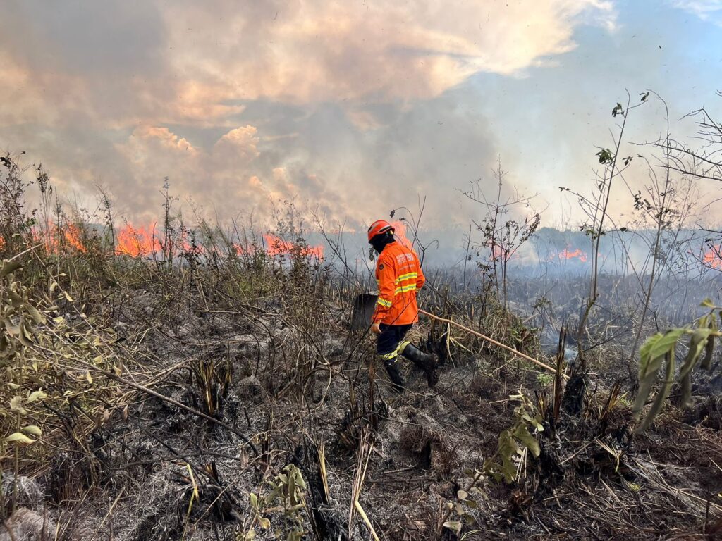 Com treinamento e tecnologia, atuação dos bombeiros é destaque no combate a incêndios florestais