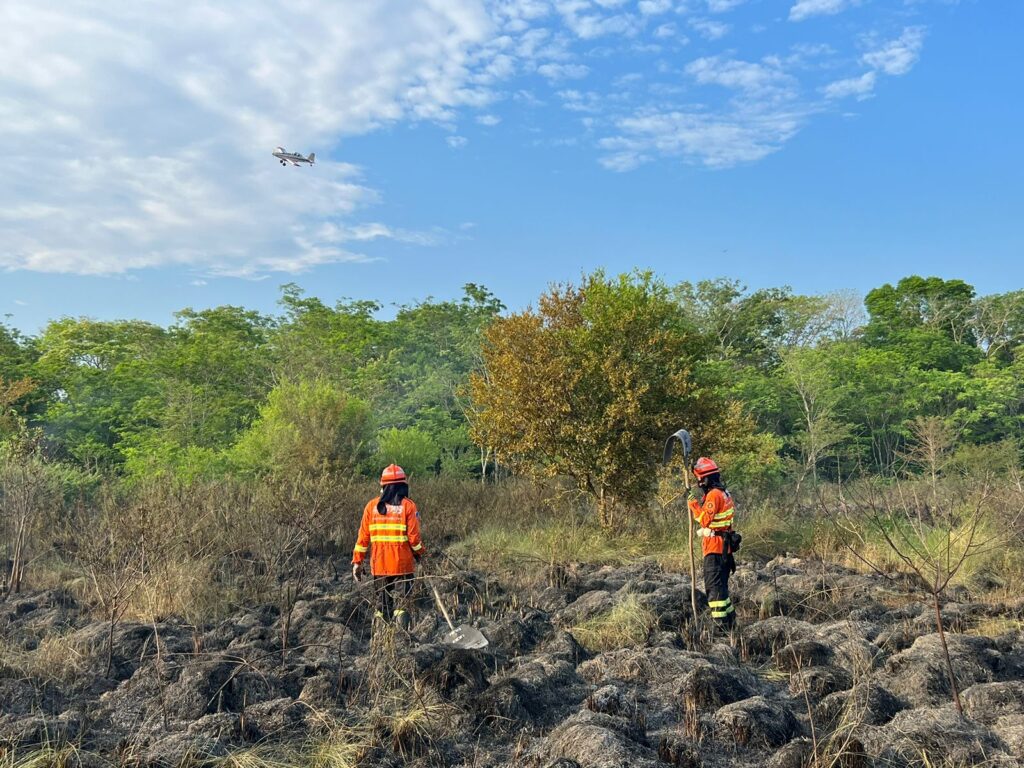 Com treinamento e tecnologia, atuação dos bombeiros é destaque no combate a incêndios florestais