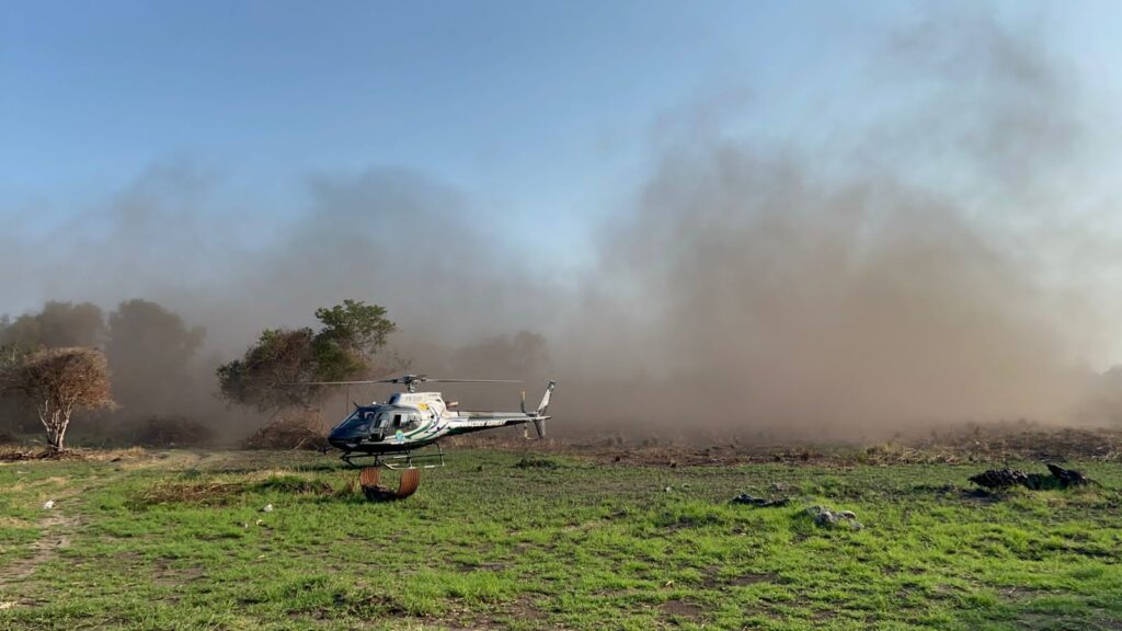 Com treinamento e tecnologia, atuação dos bombeiros é destaque no combate a incêndios florestais