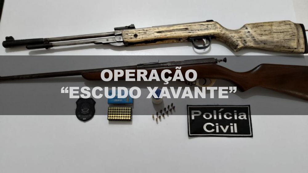 Em 2023, Polícia Civil, por intermédio da Delegacia Regional de Bataguassu promoveu mais de 15 operações contra a criminalidade