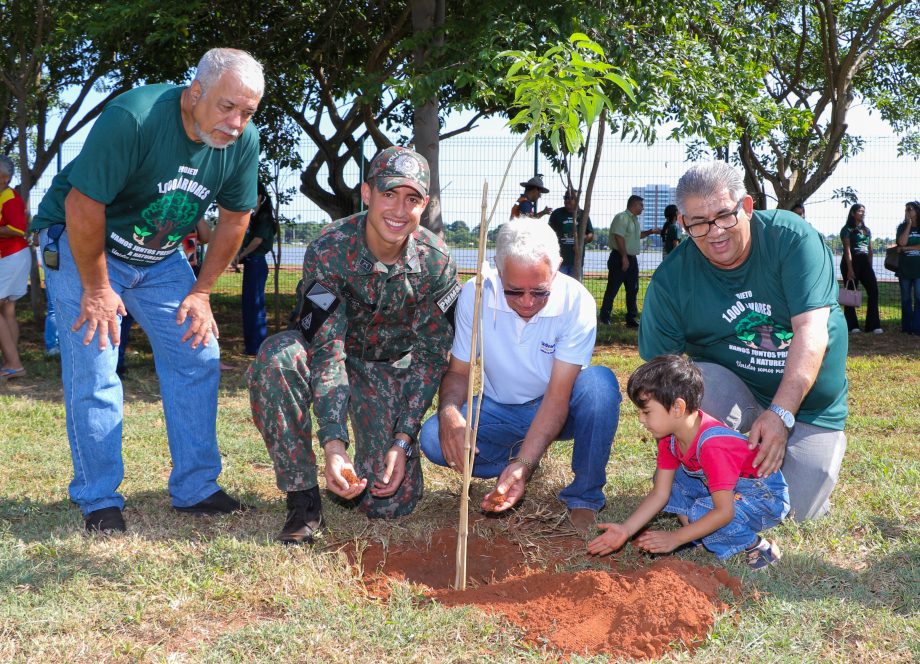 Conheça o projeto que plantará 1.000 árvores em Três Lagoas no ano de 2024