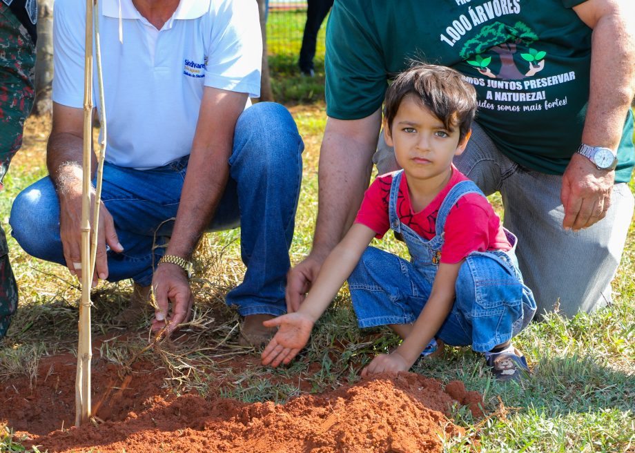 Conheça o projeto que plantará 1.000 árvores em Três Lagoas no ano de 2024