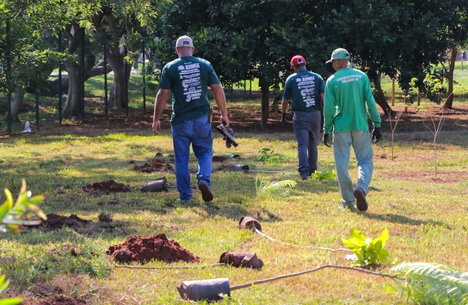 Conheça o projeto que plantará 1.000 árvores em Três Lagoas no ano de 2024