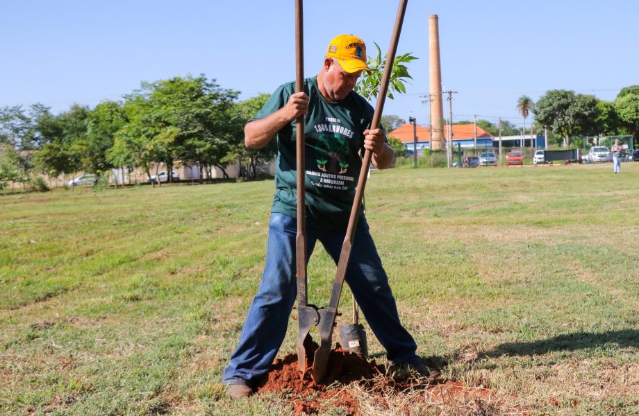 Conheça o projeto que plantará 1.000 árvores em Três Lagoas no ano de 2024