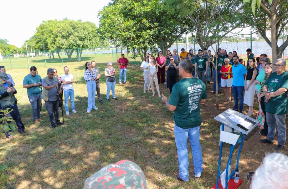 Conheça o projeto que plantará 1.000 árvores em Três Lagoas no ano de 2024