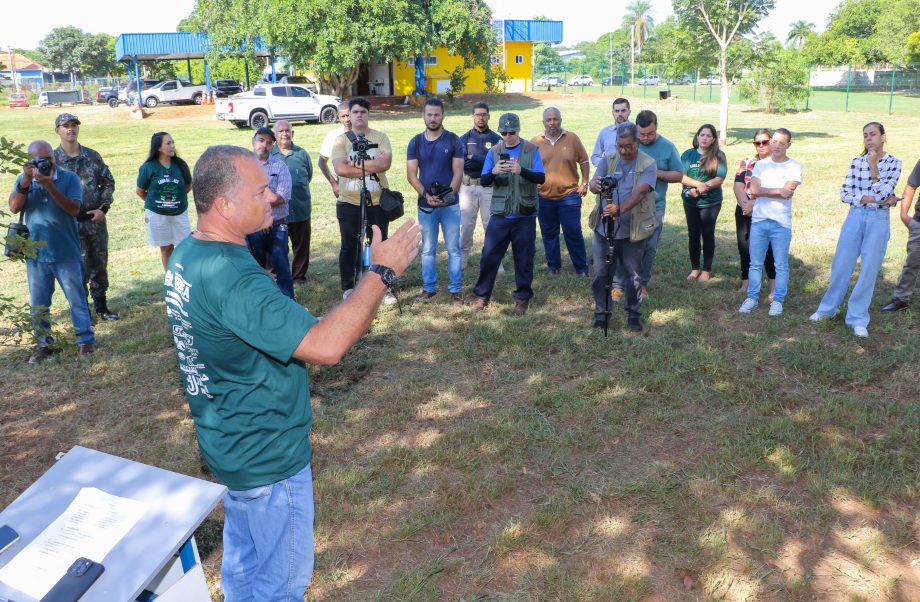 Conheça o projeto que plantará 1.000 árvores em Três Lagoas no ano de 2024