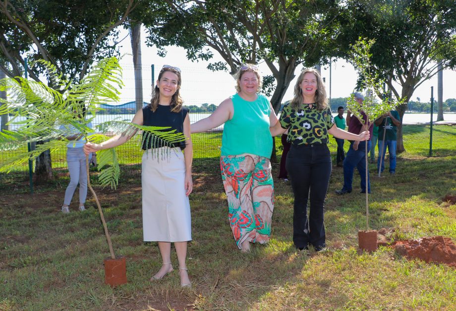 Conheça o projeto que plantará 1.000 árvores em Três Lagoas no ano de 2024