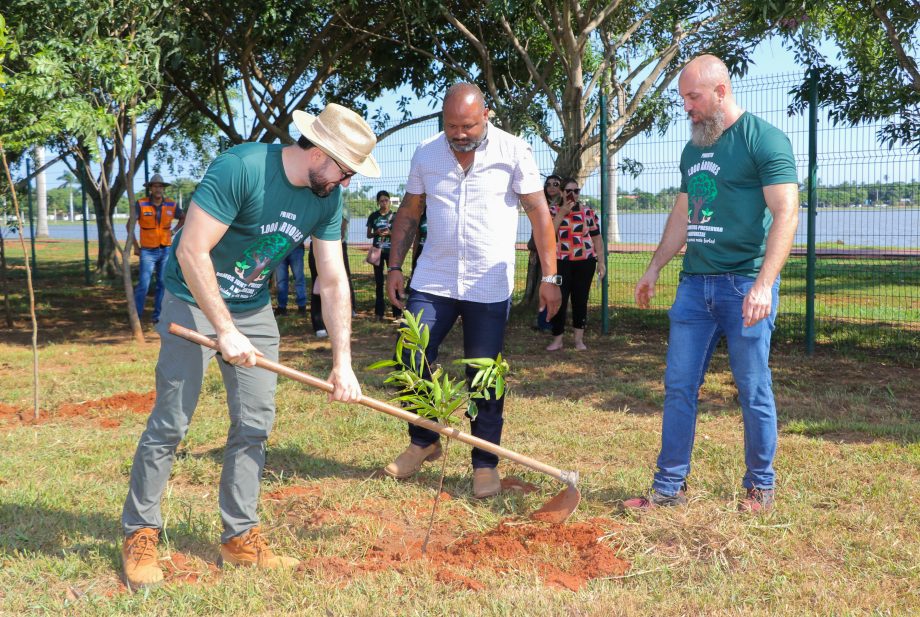 Conheça o projeto que plantará 1.000 árvores em Três Lagoas no ano de 2024