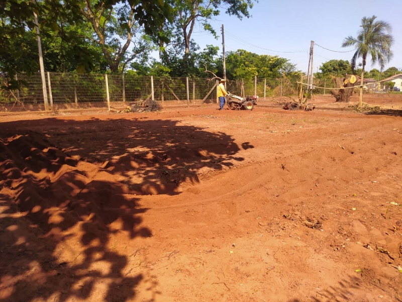Prefeitura de Brasilândia entrega mudas para plantio de horta no ILPI
