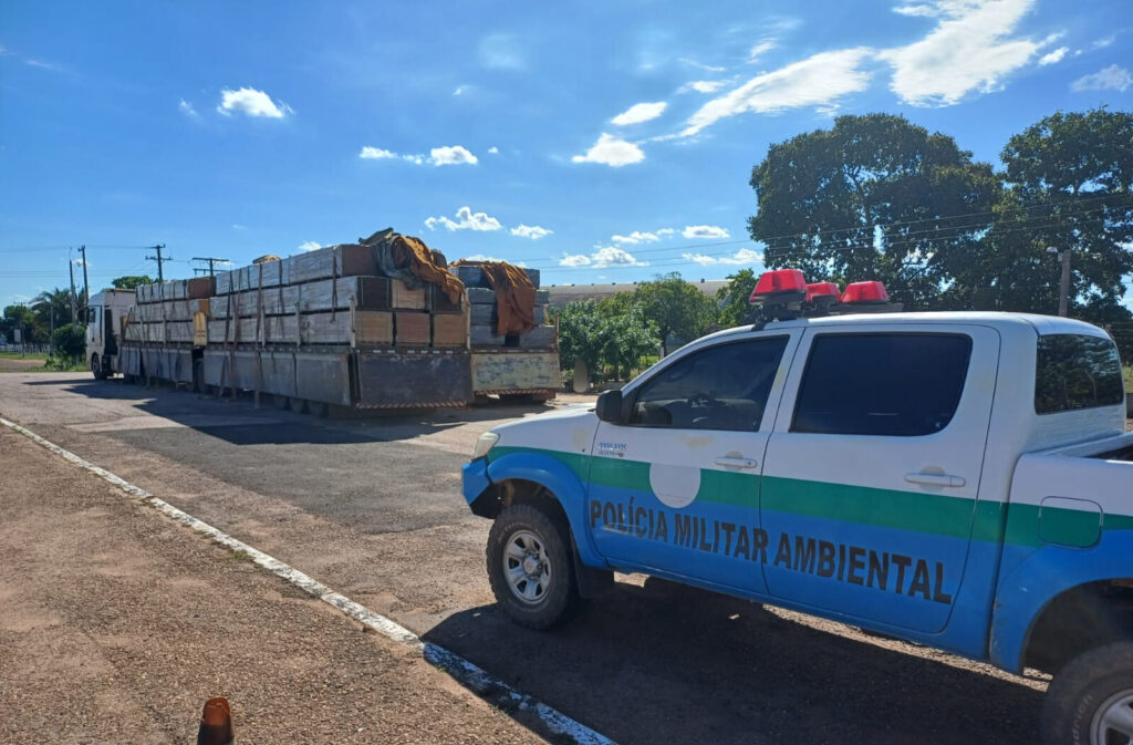 Comando de Policiamento Ambiental prioriza Educação e reduz crimes ambientais em 2023