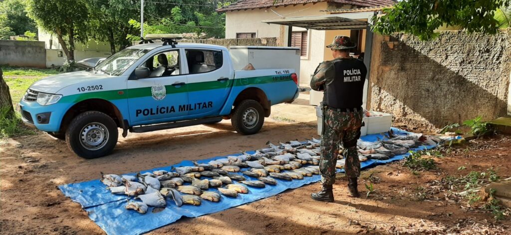 Comando de Policiamento Ambiental prioriza Educação e reduz crimes ambientais em 2023