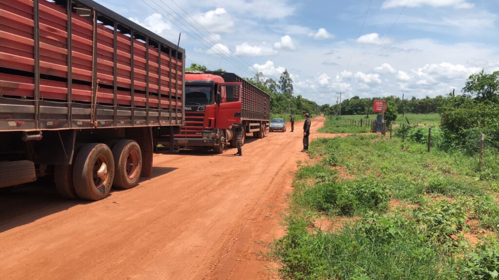 Comando de Policiamento Ambiental prioriza Educação e reduz crimes ambientais em 2023