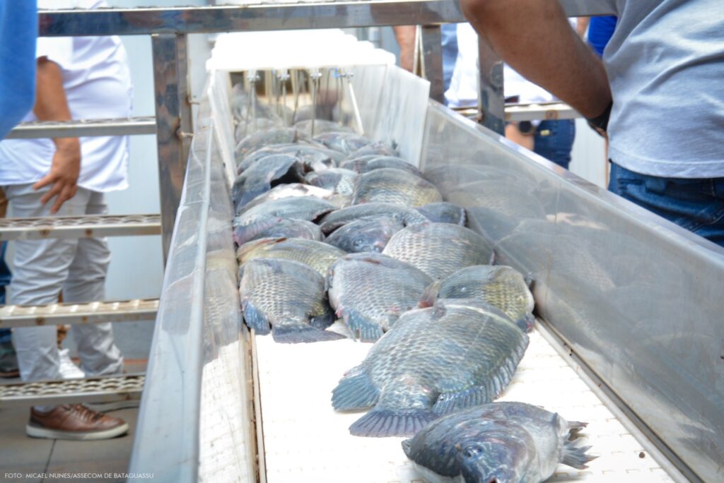 Prefeito Akira prestigia inauguração de frigorífico de peixe Sandevi em Bataguassu