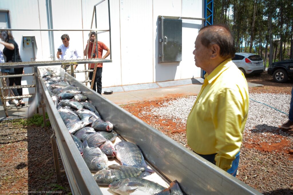 Prefeito Akira prestigia inauguração de frigorífico de peixe Sandevi em Bataguassu