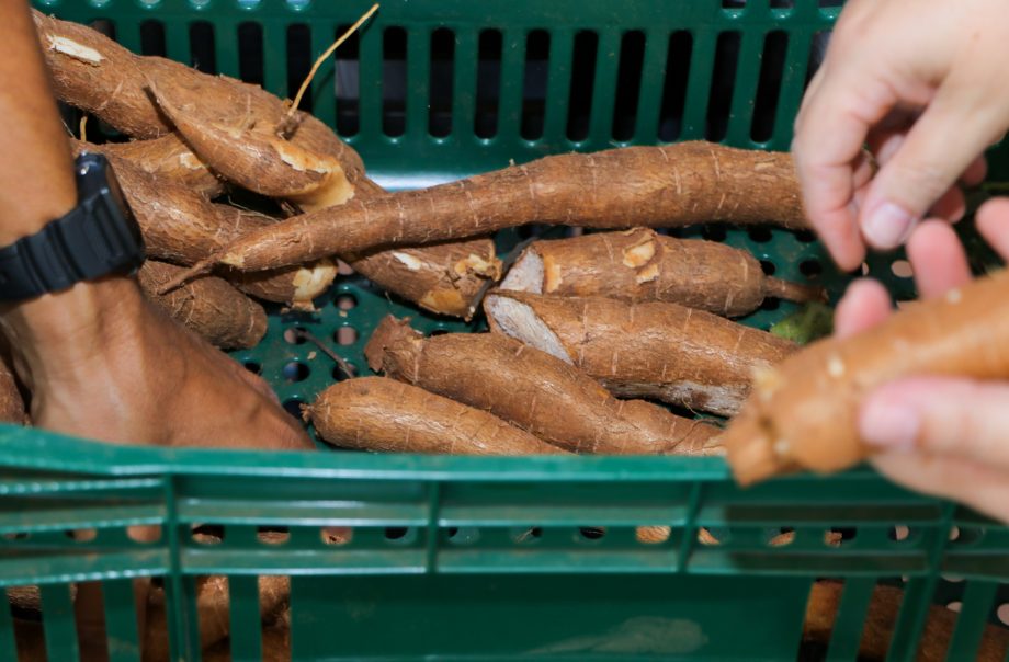 Do Campo à Mesa: SMAS realiza recebimento de itens do Programa de Aquisição de Alimentos destinado a famílias em vulnerabilidade