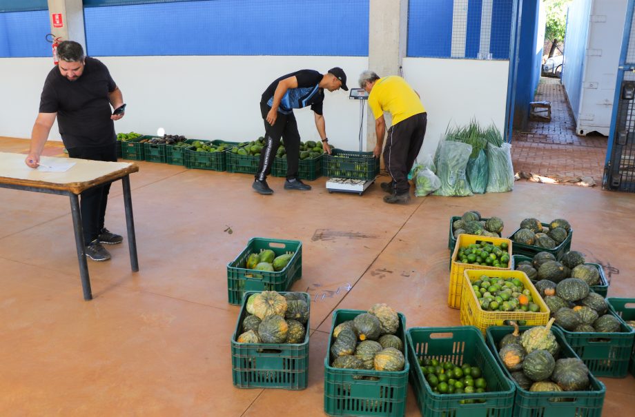 Do Campo à Mesa: SMAS realiza recebimento de itens do Programa de Aquisição de Alimentos destinado a famílias em vulnerabilidade