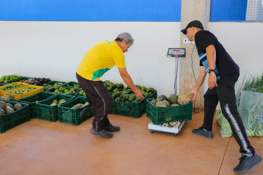 Do Campo à Mesa: SMAS realiza recebimento de itens do Programa de Aquisição de Alimentos destinado a famílias em vulnerabilidade