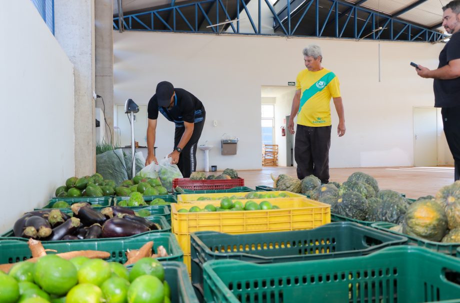 Do Campo à Mesa: SMAS realiza recebimento de itens do Programa de Aquisição de Alimentos destinado a famílias em vulnerabilidade