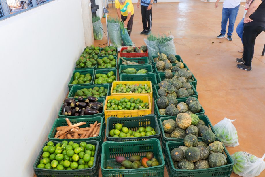 Do Campo à Mesa: SMAS realiza recebimento de itens do Programa de Aquisição de Alimentos destinado a famílias em vulnerabilidade