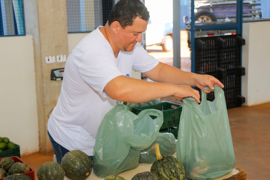 Do Campo à Mesa: SMAS realiza recebimento de itens do Programa de Aquisição de Alimentos destinado a famílias em vulnerabilidade